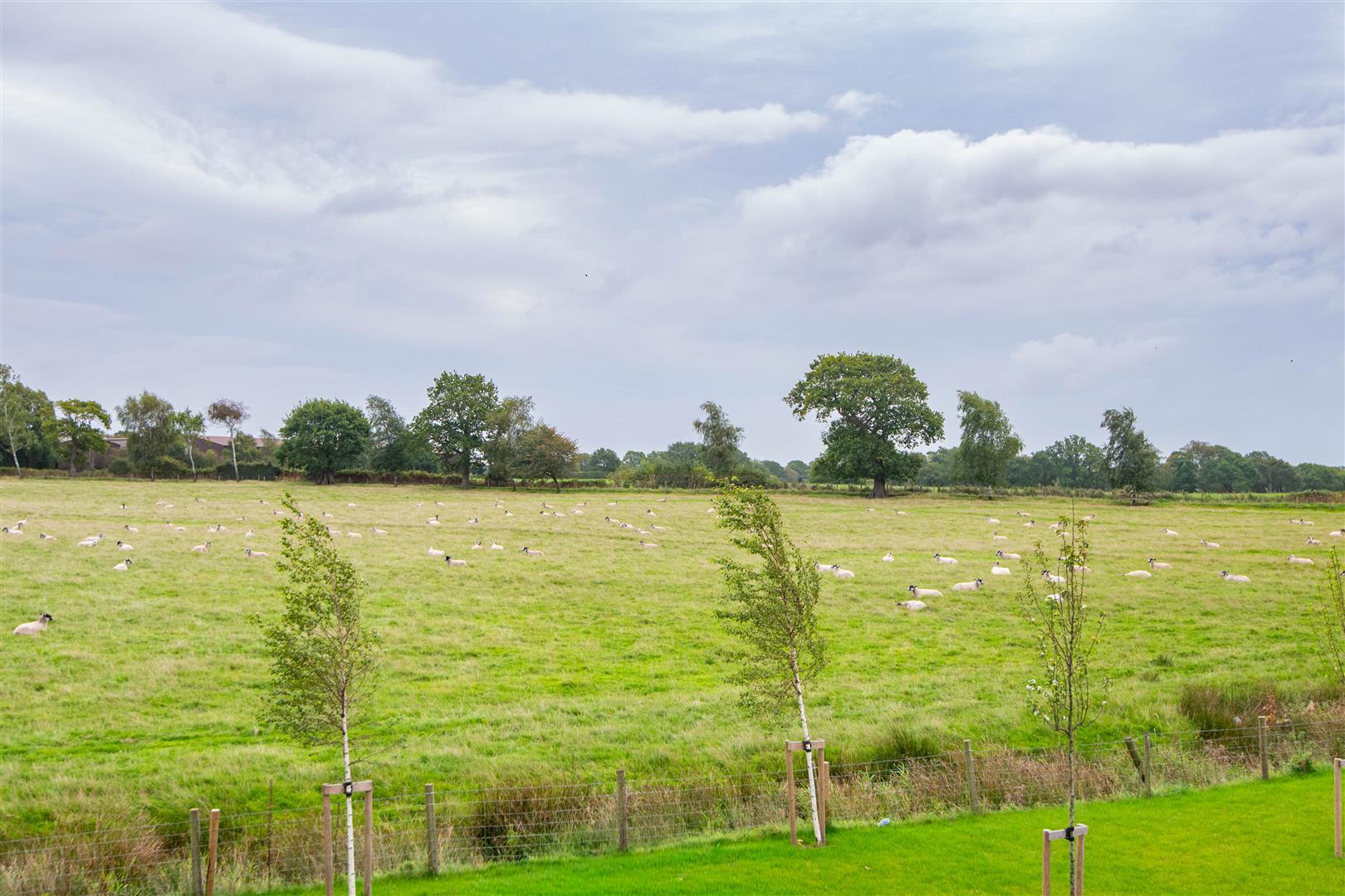 Hawker Road, Leyland